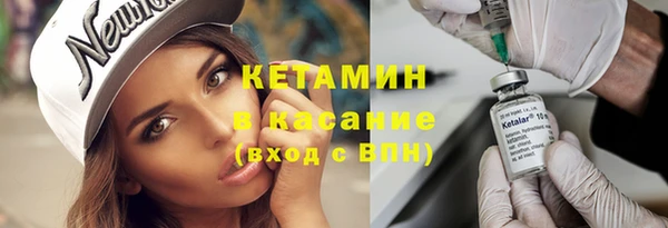 шишки Аркадак