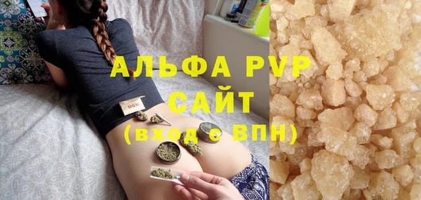 шишки Аркадак