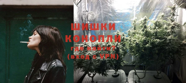 шишки Аркадак